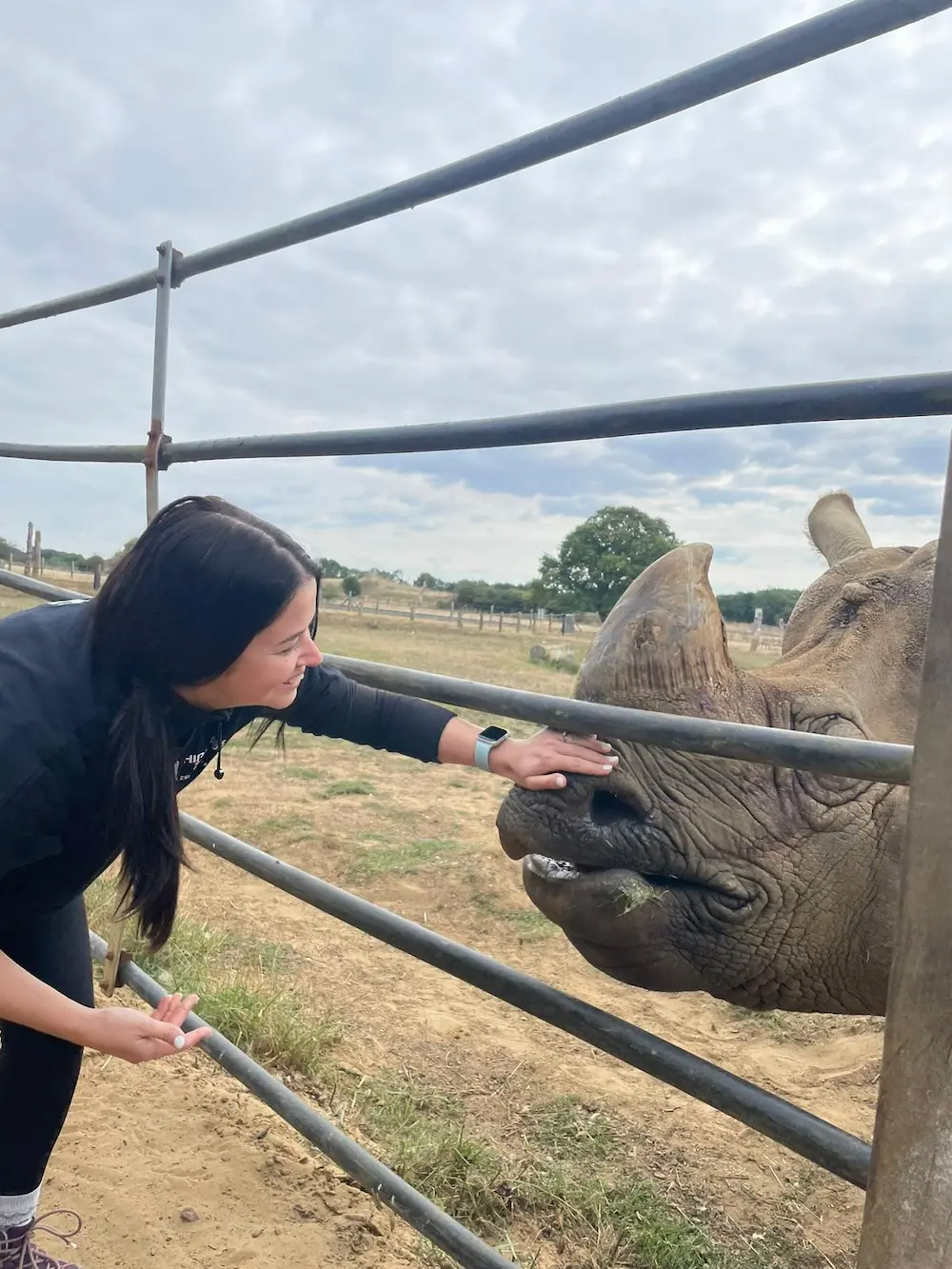 Me petting the nose of a rhino through the fence.