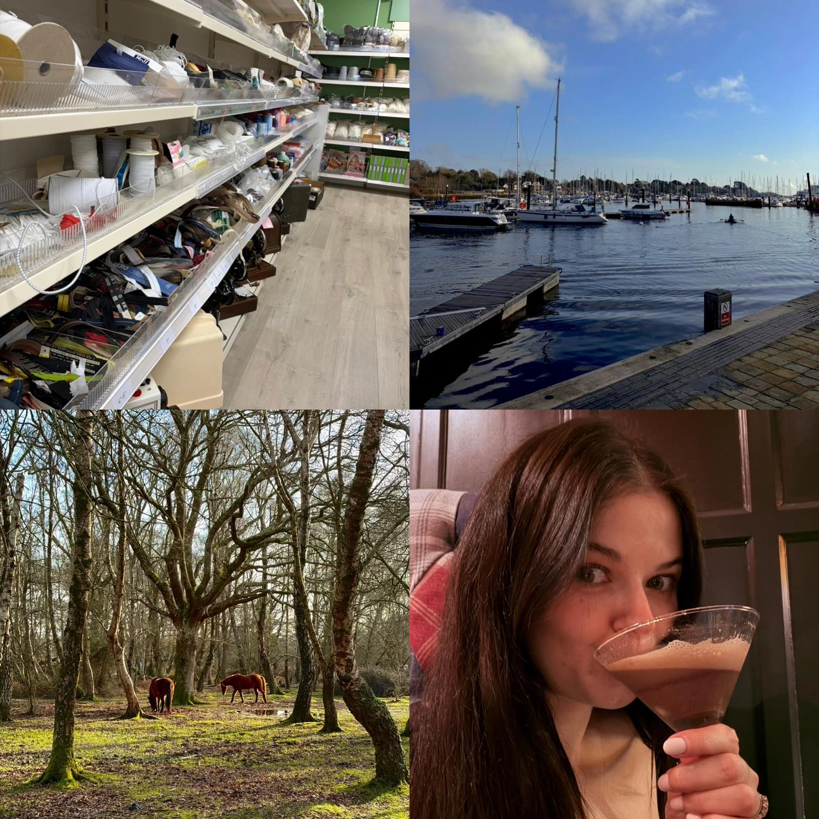 Image split into four squares. First square shows a shop with sewing machines and threads, second square has an harbour with boats. Third square has two horses grazing between trees and last square is a selfie of me drinking a chocolate martini.