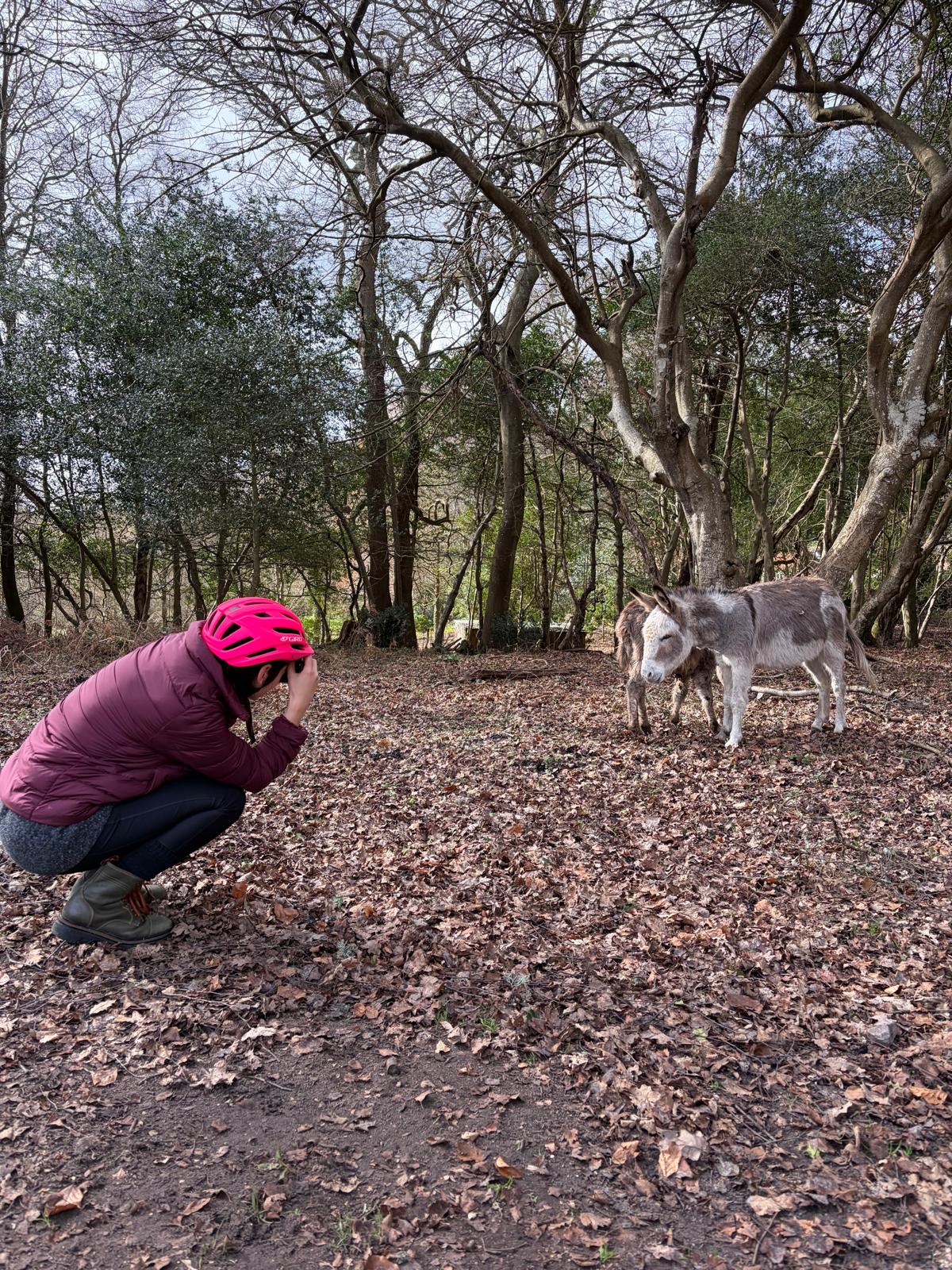 Me crouching down to take a photo of a donkey.